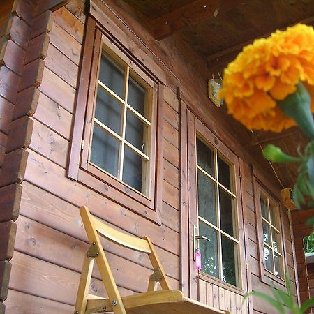 Onur Motel Faralya Exterior foto